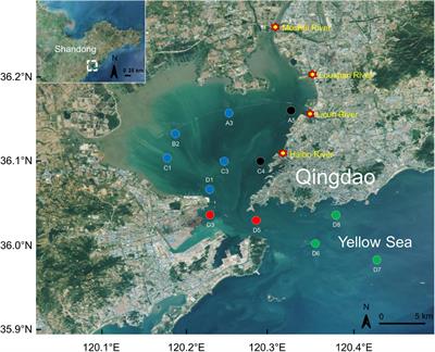 Long-Term Temporal and Spatial Distribution of Coliform Bacteria in Jiaozhou Bay Associated With Human Activities and Environmental Governance